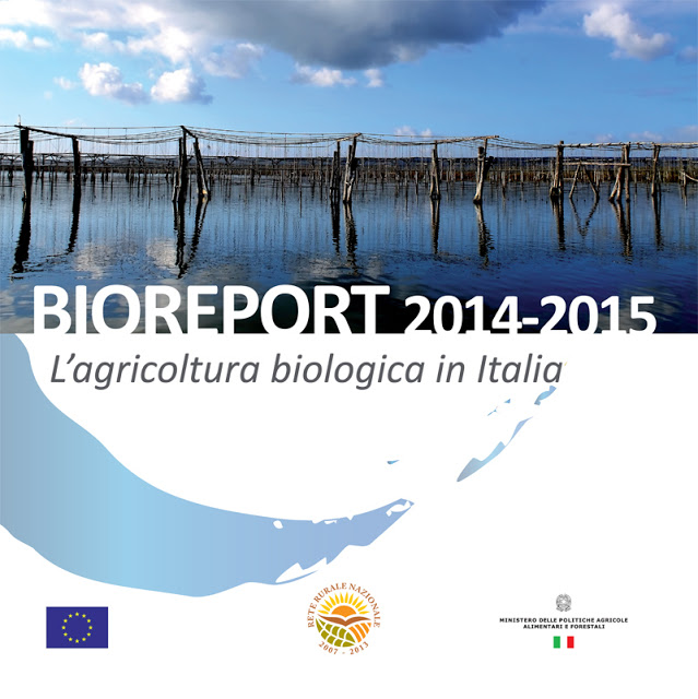 bioreport 2015 x il web 1