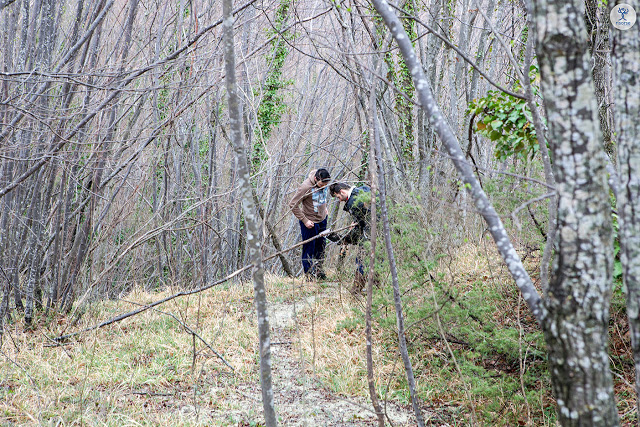 occhio nascosto sibillini bosco