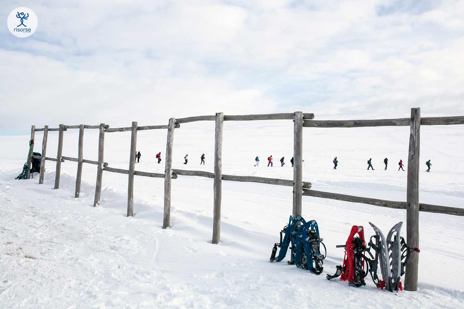 neve diversa 2018