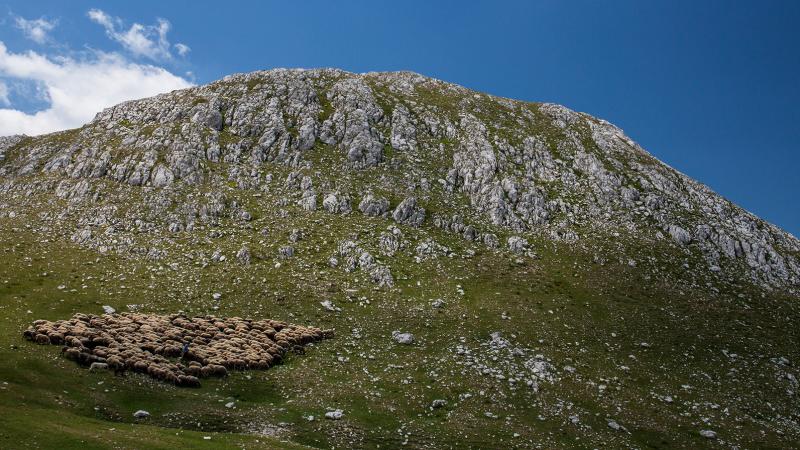 NON SOLO GUARDIAN: LE MARCHE SUL NEW YORK TIMES E I SITI INTERNAZIONALI