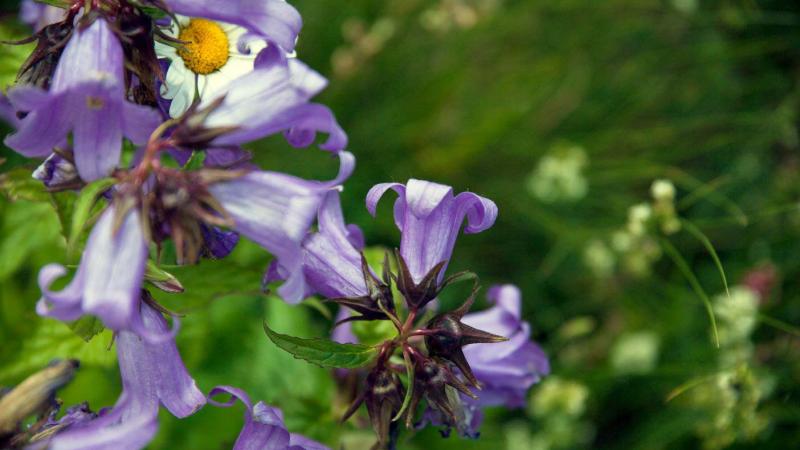 Escursioni Ponti di Pasqua, 25 aprile e Primo Maggio nelle Marche