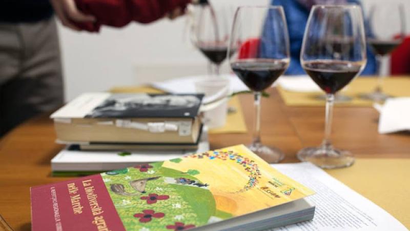 18 LIBRI PER SCOPRIRE L'ENOGASTRONOMIA MACERATESE, DAL CIAUSCOLO AI VINCISGRASSI